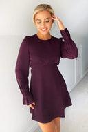 Plum Long Sleeve Skater Dress