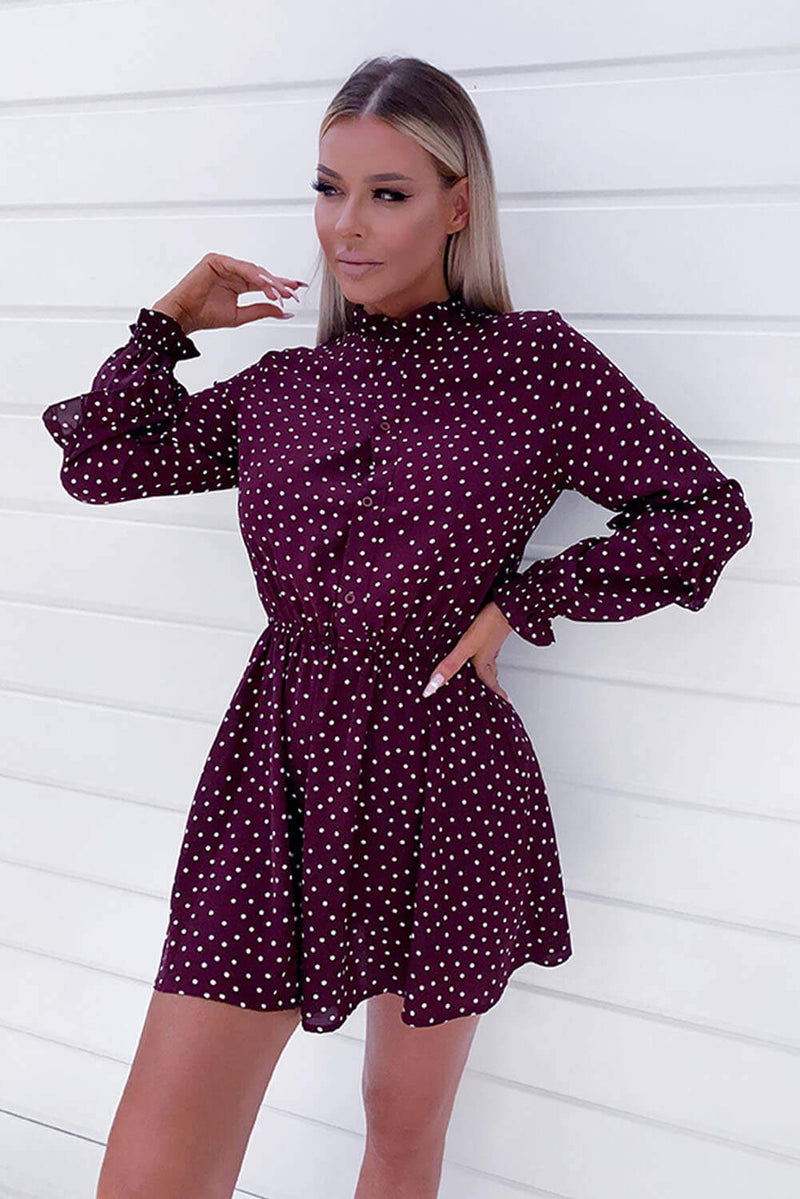 Plum Polka Dot Frill Shirt Dress AX Paris