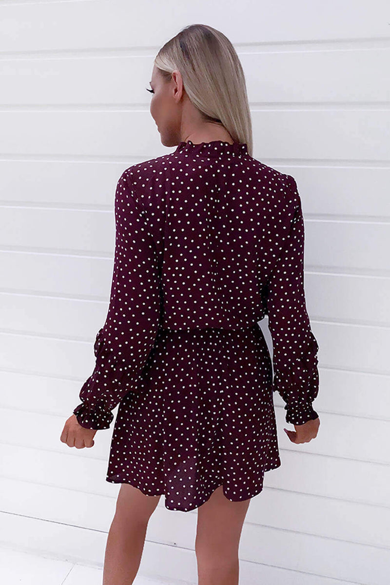 Plum Polka Dot Frill Shirt Dress