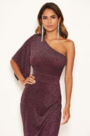 Plum Sparkle One Shoulder Dress