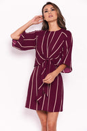 Plum Striped Tie Waist Mini Dress