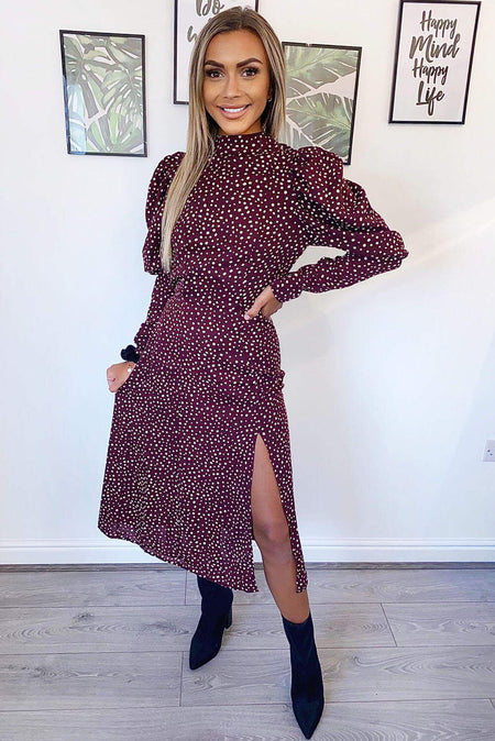 Plum Spotty High Neck Midi Dress