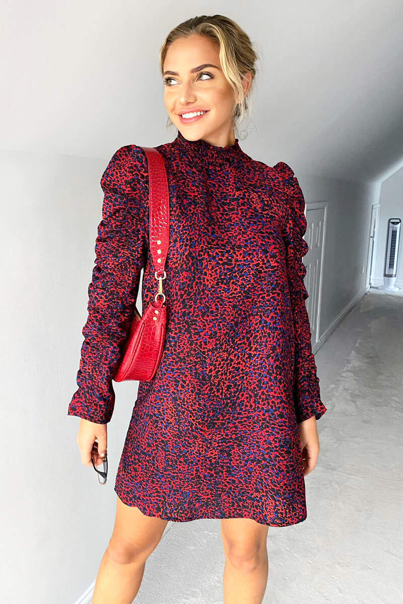 Red Printed Ruched Sleeve Dress