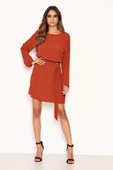 Rust Long Sleeve Belted Day Dress