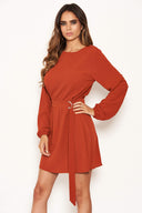 Rust Long Sleeve Belted Day Dress