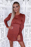 Rust Spotty Skater Puff Sleeve Dress
