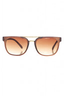 Brown Wayfarer Sunglasses