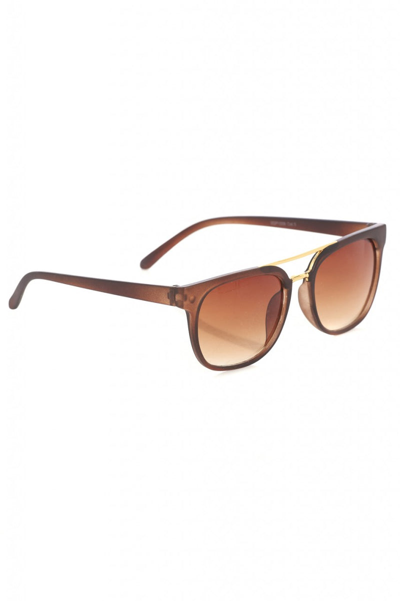 Brown Wayfarer Sunglasses