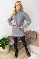 Silver Roll Neck Knit Jumper Dress