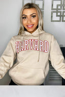 Stone Harvard Printed Hoodie