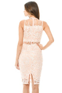 Pink Sleeveless Lace Mesh Bodycon  Midi