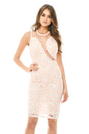 Pink Sleeveless Lace Mesh Bodycon  Midi