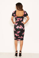 Black Rose Printed Ruched Tie Neck Midi Dress