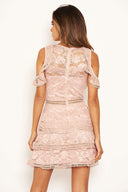 Mushroom Lace Frill Cold Shoulder Dress