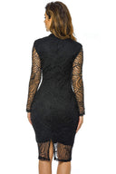 Black Mesh Long Sleeve Dress