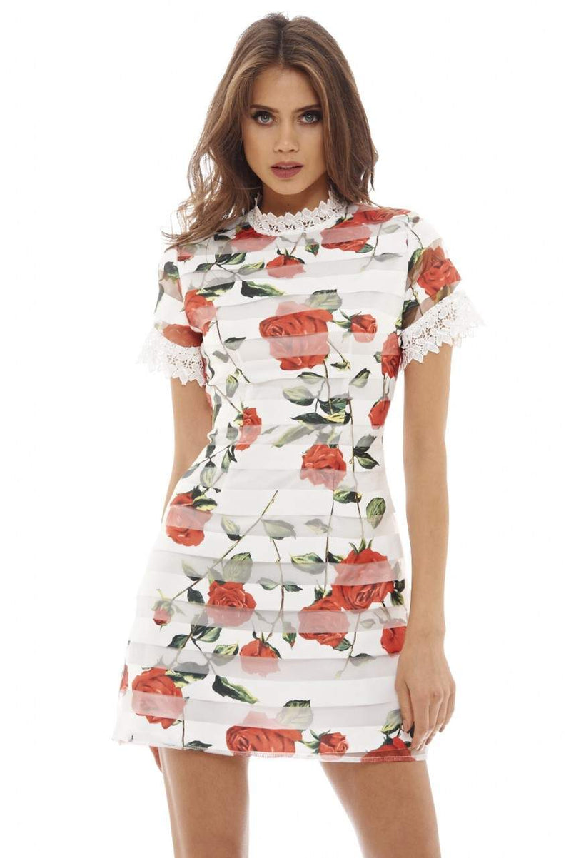 Rose Printed Mini Dress