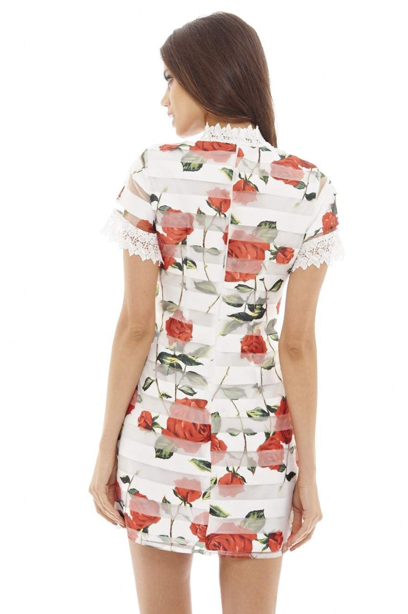 Rose Printed Mini Dress