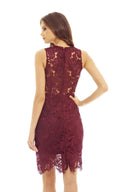 Red Wine Lace Crochet Dress with Sleeveless Detail